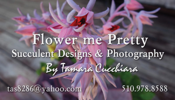 Photographer Business Cards